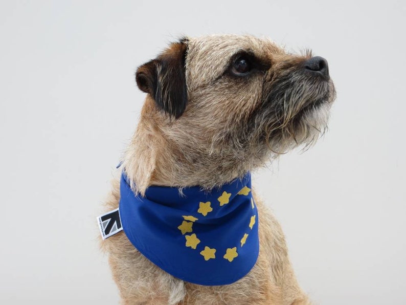 European Union EU Flag Dog Bandana image 5