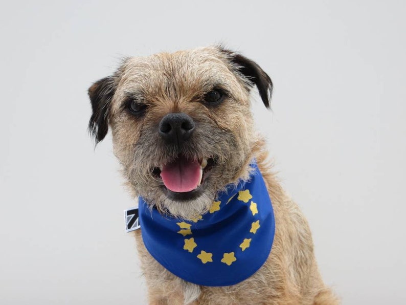 European Union EU Flag Dog Bandana image 6