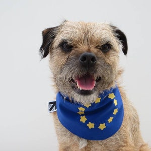 European Union EU Flag Dog Bandana image 7