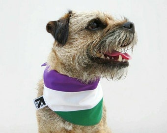 Suffragette Flag Dog Bandana