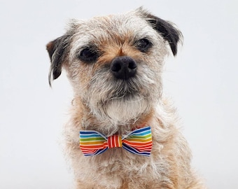 Small Pride LGBT Flag Print Fabric Dog Bow Tie