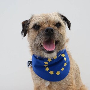 European Union EU Flag Dog Bandana image 8