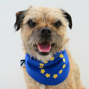 European Union EU Flag Dog Bandana image 1