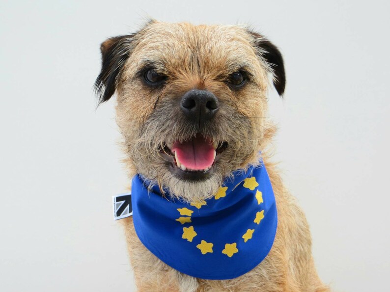 European Union EU Flag Dog Bandana image 1