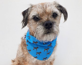 Blue Border Terrier Print Dog Bandana