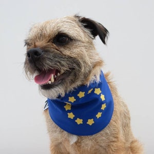 European Union EU Flag Dog Bandana image 2