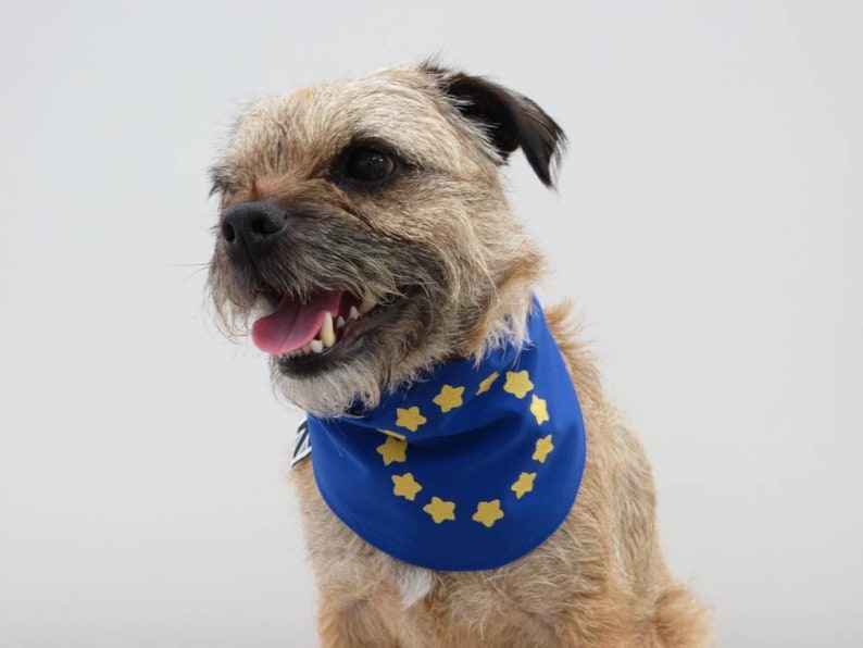 European Union EU Flag Dog Bandana image 2