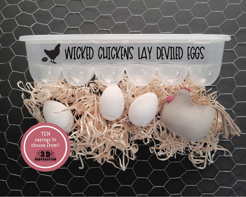 Reusable Egg Cartons Set of 2 With Saying Plastic Egg Etsy