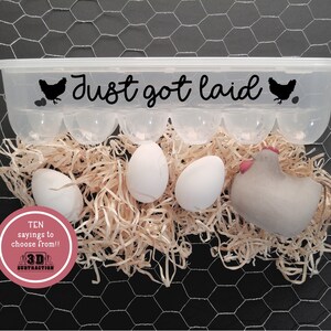 Just Got Laid | Reusable Egg Carton with saying | plastic egg container | Kitchen Decor | Farm