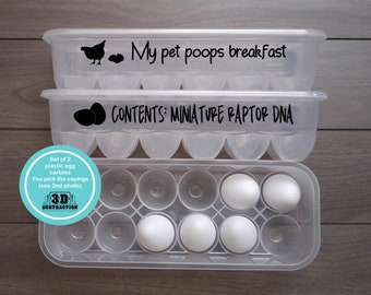 Reusable Egg Cartons set of 2  | with saying | plastic egg container | Kitchen Decor | Farm