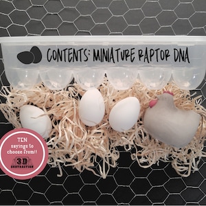 Contents: Mini Raptor DNA | Funny Reusable Egg Carton with saying | plastic egg container | Kitchen Decor | Farm