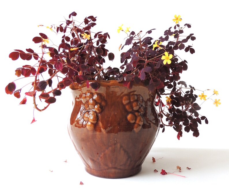 Rare Early Brush Mccoy Jardiniere Antique 1917 Shape 217 - Etsy