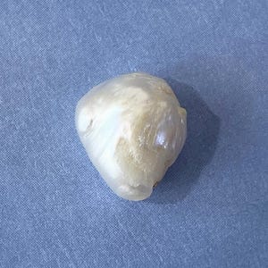 RARE Natural Mississippi River Pearl Vintage 1/2 Drilled 10.5mm image 5