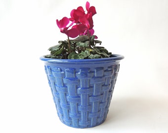 Caudiciform & Pachycaul Succulents by Gordon D. Rowley - Etsy