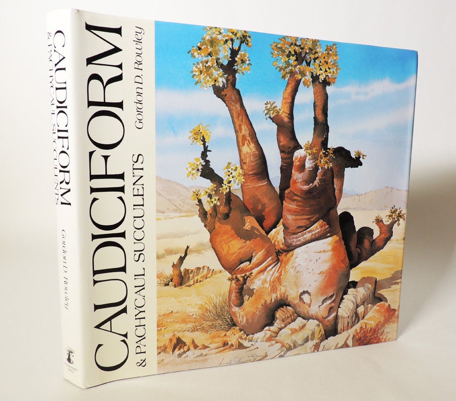 Caudiciform & Pachycaul Succulents by Gordon D. Rowley - Etsy
