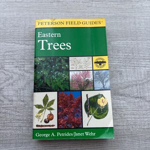 Könnte beinhalten: Ein Peterson Field Guide mit dem Titel "Eastern Trees" mit grünem Einband und verschiedenen Baumillustrationen. Das Buch enthält die Namen George A. Petrides und Janet Wehr. Das Buch liegt auf einer hellgrauen Holzoberfläche.