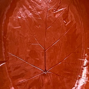 May include: A reddish-orange ceramic leaf-shaped serving dish. The dish features a detailed leaf vein pattern and a slightly textured surface. The rim of the dish has a scalloped edge.