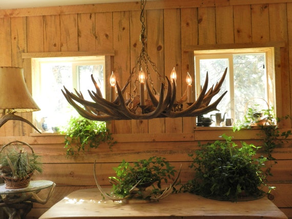 Brass cheap antler chandelier