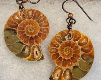 Large Fossil Ammonite earrings