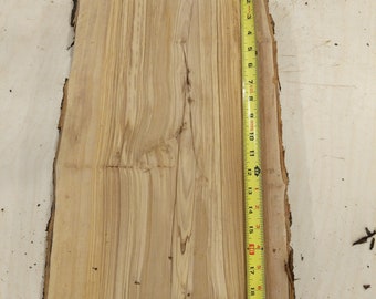 Italian Olive Wood Live Edge Mini Slab - 2"+ THICK Pen Knife Bowl Turning Blanks