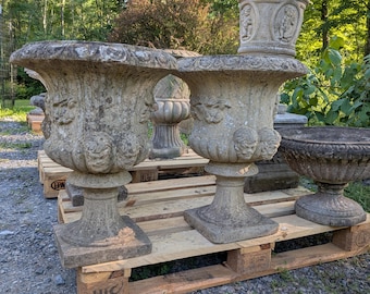 May include: A collection of weathered stone garden urns featuring relief carvings of cherub faces and floral motifs. These gray, textured planters have wide, flared rims, tapered pedestals, and square bases, displaying signs of age and outdoor exposure.