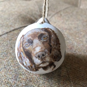 Hand painted pet portrait Christmas bauble - custom dog bauble - cat bauble