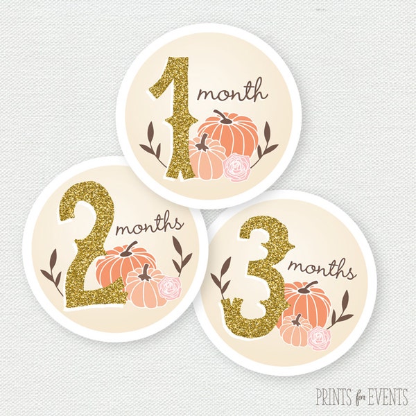 Printable Photo Tags - Our Little Pumpkin Birthday Party - pink and gold - photo banner - monthly photos