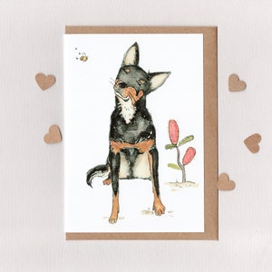 LET`S BEE FREUNDE Australischer Kelpie Biene & Teddybär-Biene. blanko kunst karte. Geburtstag. Ich danke Ihnen. kelpie . heimischen Bienen. Australien
