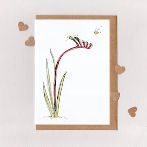 PATTE DE KANGOUROU ET ABEILLE OURS EN peluche . carte de voeux vierge. Flore australienne. abeille indigène. abeille en peluche. patte de kangourou. abeilles. Australie