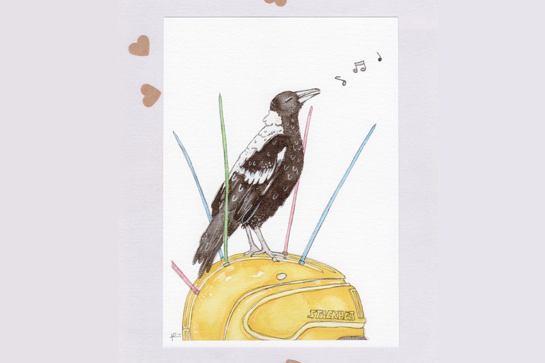 STACKHAT MAGGIE . Signed Print . Australian Magpie . Bicycle Helmet ...