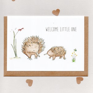 WELKOM KLEIN. Echidna's en timmermansbij. Nieuwe babykaart. Australische babykaart. inheemse bloemen. inheemse bijen. Australië: