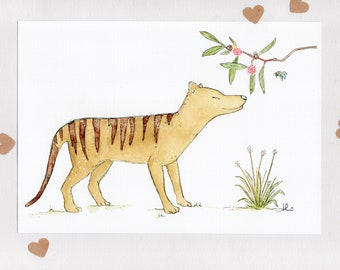 HIDE & SEEK . Tasmanian Tiger and Banksia Bee . A6 . signed print . thylacine . native bee . unframed . wall art . Australian Art