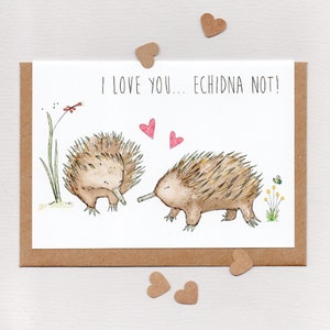Ich liebe dich... ECHIDNA NICHT! . Grußkarte. Liebeskarte. leere Karte . heimischen Blüten. heimischen Bienen. Jubiläum . Valentinstag. Australien