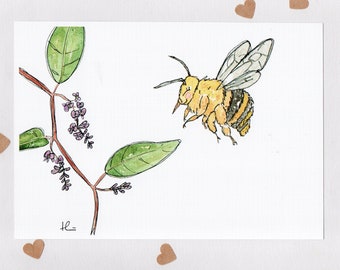 BEE HAPPY . Teddy Bear Bee & Happy Wanderer . signed print . A4 . unframed . native bees . Australian art . Amegilla bombiformis . Australia