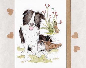 BOOTS? . blank art card . Border Collie . sheep dog . working dog . Blundstone boots . Australiana . Australia