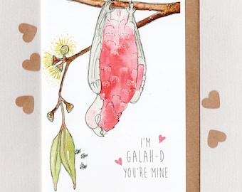 I'm GALAH-D You're MINE . Valentines card . Australian galah & sugar bag bees . stingless bee . Australian Valentines Card . Australia