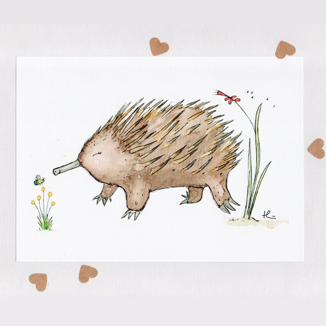 LET'S BEE FRIENDS . Echidna & Carpenter Bee . Signed Print . Unframed ...