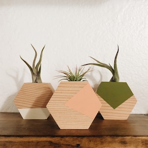 May include: Three hexagonal wooden planters with geometric designs in pink, green, and white. Each planter holds a small air plant.