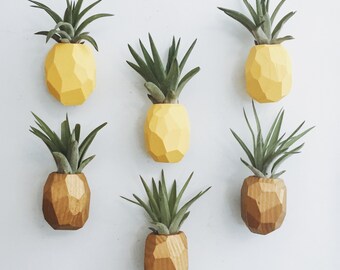 Pineapple Air Plant Magnet w/Air Plant