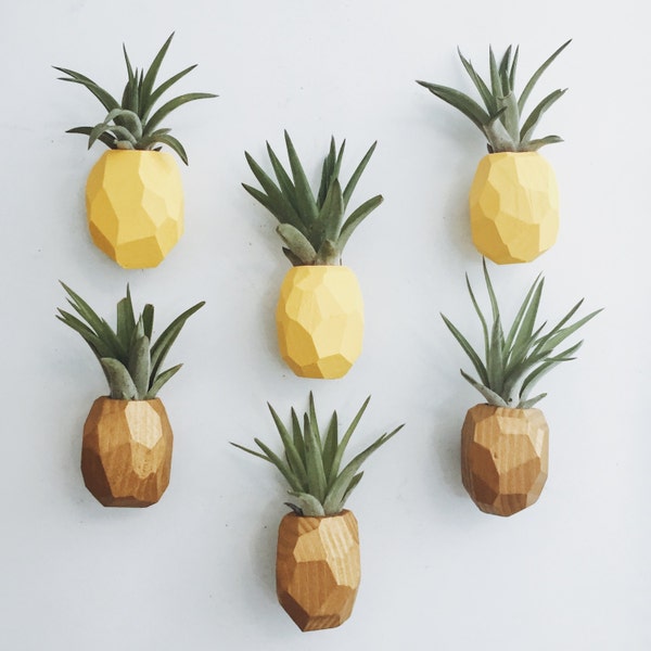 Pineapple Air Plant Magnet w/Air Plant