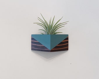 Triangle Magnet w/Air Plant