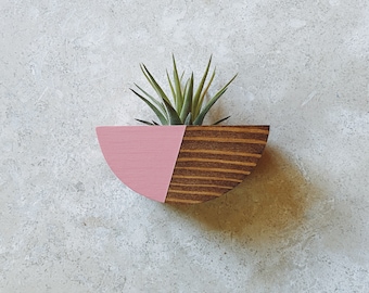 Half Circle Plant Magnet w/ Air Plant (Walnut Stain)