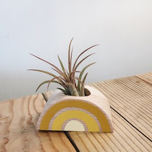 Rainbow Air Plant Holder w/ Air Plant no magnet image 3