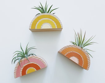 Rainbow Air Plant Magnet w/ Air Plant