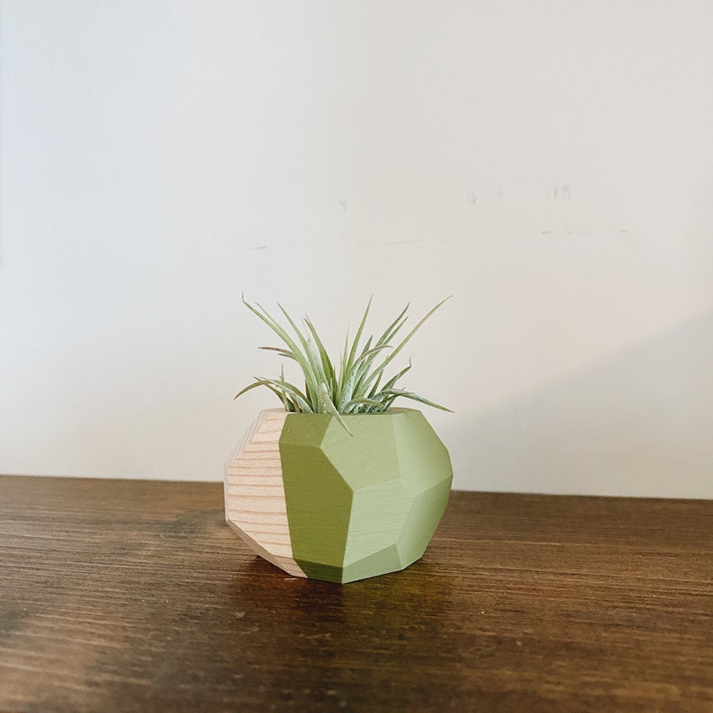 Mini Geo Air Plant Holder w/Air Plant Natural Wood image 2