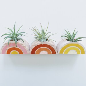 Rainbow Air Plant Holder w/ Air Plant no magnet image 6