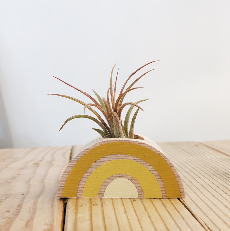 Rainbow Air Plant Holder w/ Air Plant no magnet image 4