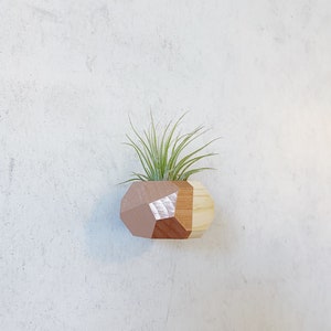 Mini Geo Magnet w/ Air Plant Natural Wood image 2