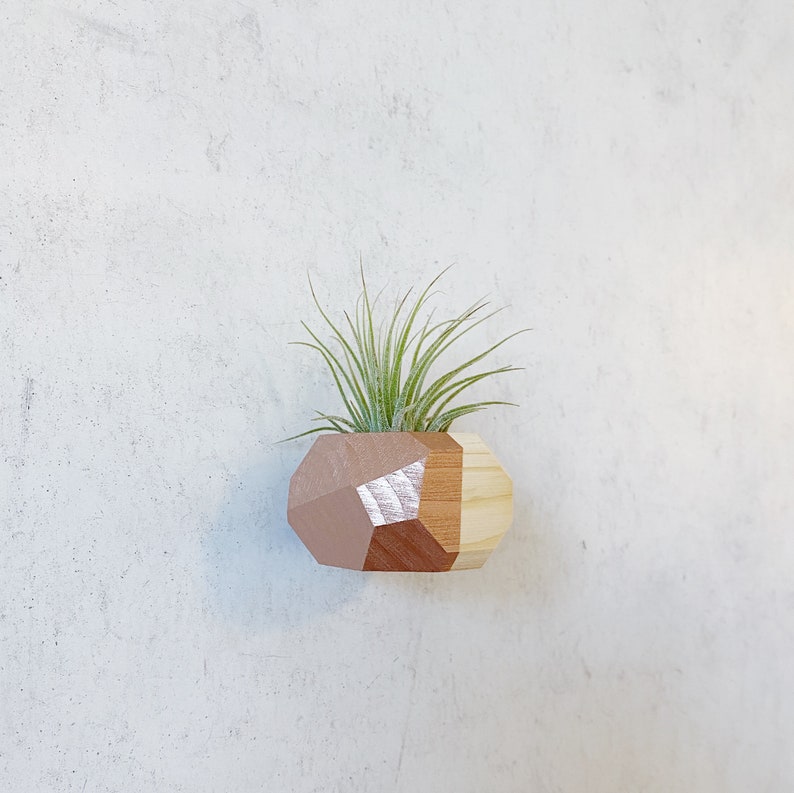 Mini Geo Magnet w/ Air Plant Natural Wood image 2