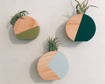 Plein soleil Air plante aimant